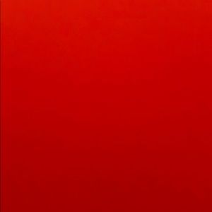 Meet your Posher, Brayan